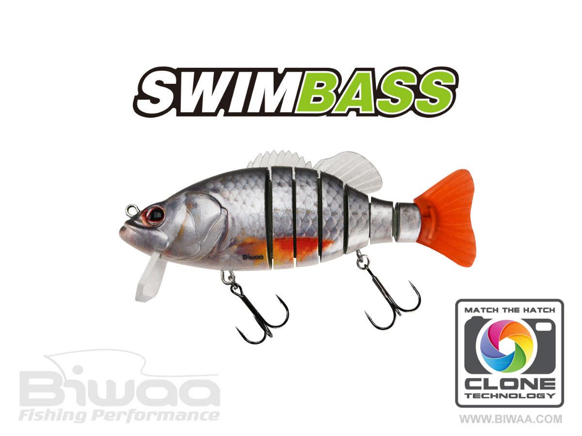 swimbass-38-roach-24778