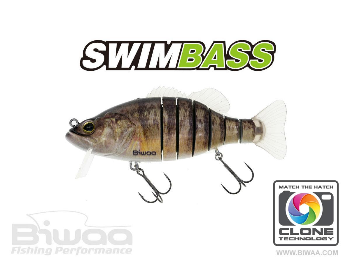 swimbass-52-yellow-perch-24776