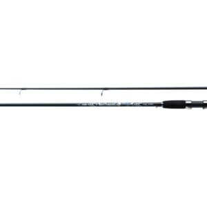 Спінінг Jaxon Tenesa Spinning 300 20-60GR